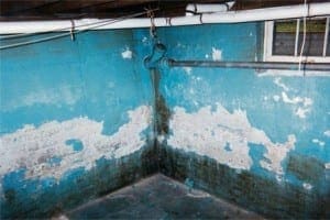 Wet Basement