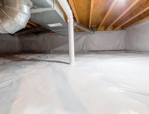 Crawl spaces could be infected with mold, mildew and dead critters – have you checked?