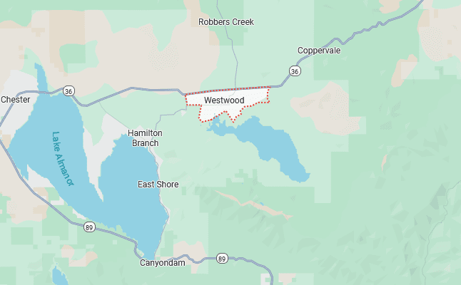 Westwood, California Services