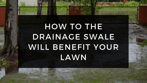 HOW TO THE DRAINAGE SWALE Will BENEFIT YOUR LAWN