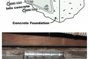 House Bolting Figure 1