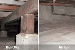 Crawl Space Repair and Cleaning before and after