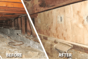 Earthquake Retrofitting