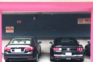 Pink Highlight of Building after Retrofitting