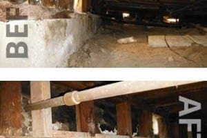 House Bolting Before and After