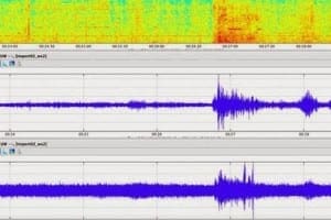 seattle seahawks seismometer